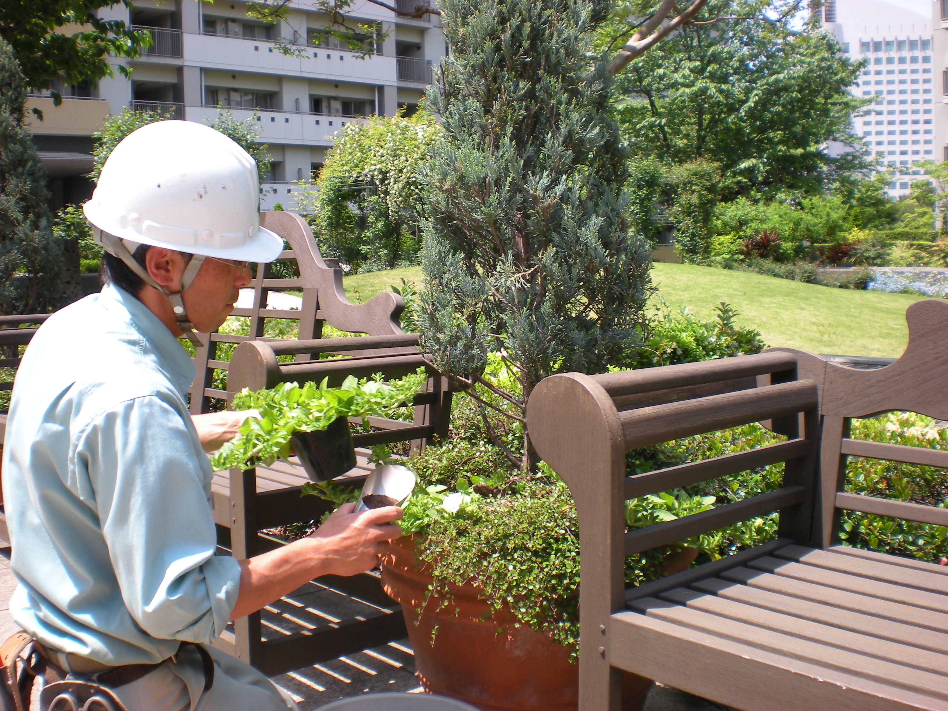 株式会社平川造園緑化